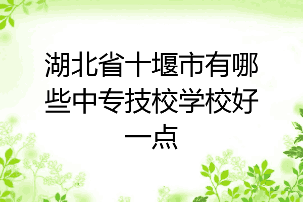 湖北省十堰市有哪些中专技校学校好一点