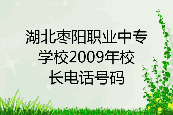 湖北枣阳职业中专学校2009年校长电话号码