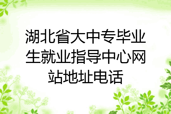 湖北省大中专毕业生就业指导中心网站地址电话