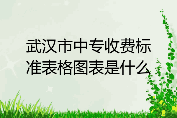 武汉市中专收费标准表格图表是什么