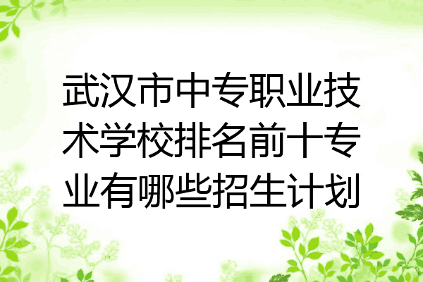 武汉市中专职业技术学校排名前十专业有哪些招生计划