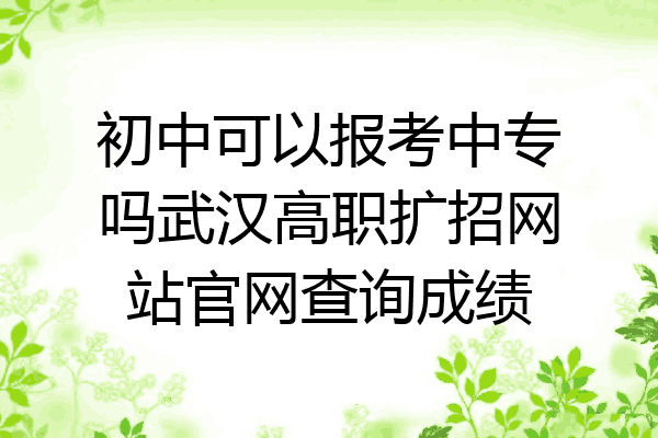 初中可以报考中专吗武汉高职扩招网站官网查询成绩