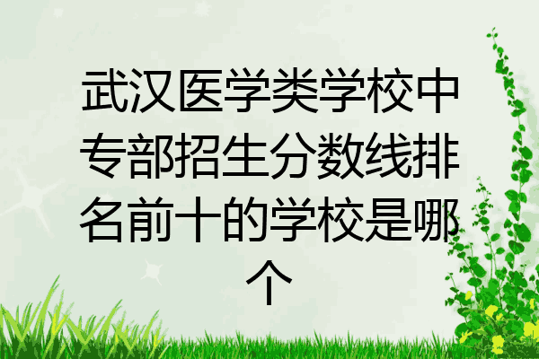 武汉医学类学校中专部招生分数线排名前十的学校是哪个