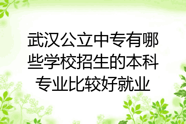 武汉公立中专有哪些学校招生的本科专业比较好就业