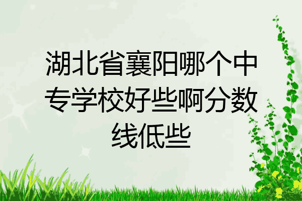 湖北省襄阳哪个中专学校好些啊分数线低些