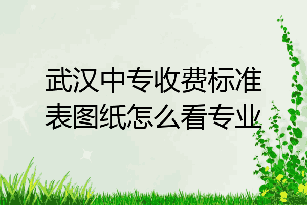 武汉中专收费标准表图纸怎么看专业