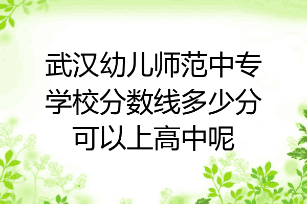 武汉幼儿师范中专学校分数线多少分可以上高中呢