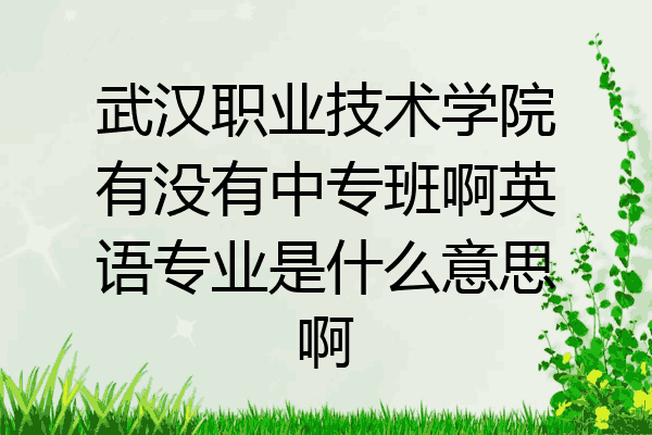 武汉职业技术学院有没有中专班啊英语专业是什么意思啊