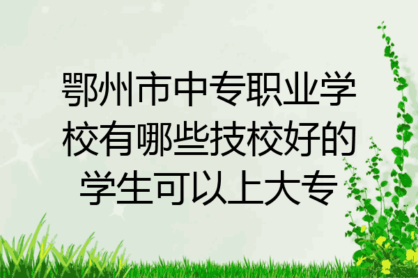 鄂州市中专职业学校有哪些技校好的学生可以上大专