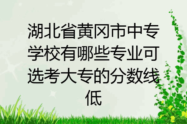 湖北省黄冈市中专学校有哪些专业可选考大专的分数线低