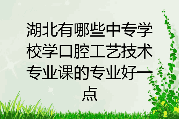 湖北有哪些中专学校学口腔工艺技术专业课的专业好一点