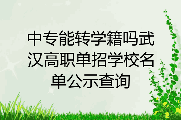 中专能转学籍吗武汉高职单招学校名单公示查询