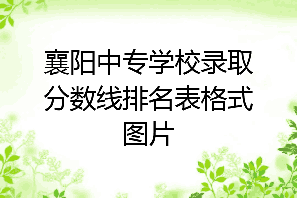襄阳中专学校录取分数线排名表格式图片