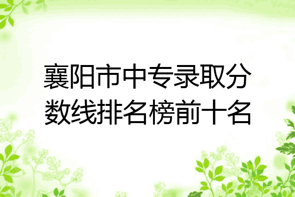 襄阳市中专录取分数线排名榜前十名