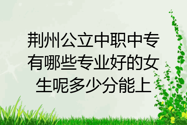 荆州公立中职中专有哪些专业好的女生呢多少分能上