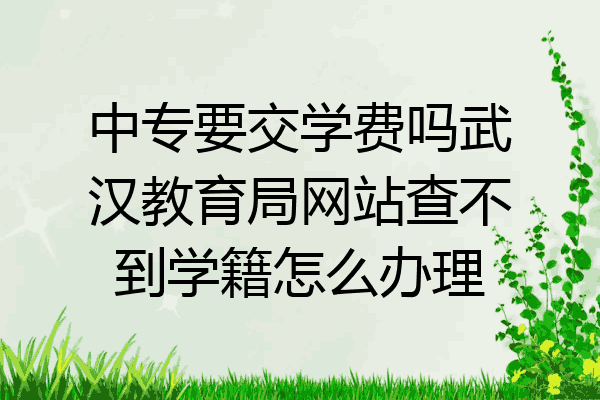 中专要交学费吗武汉教育局网站查不到学籍怎么办理