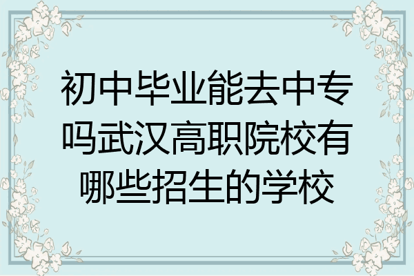 初中毕业能去中专吗武汉高职院校有哪些招生的学校