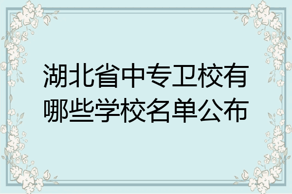 湖北省中专卫校有哪些学校名单公布
