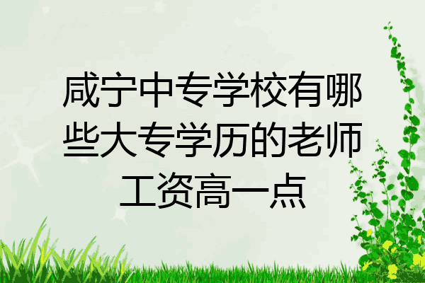 咸宁中专学校有哪些大专学历的老师工资高一点