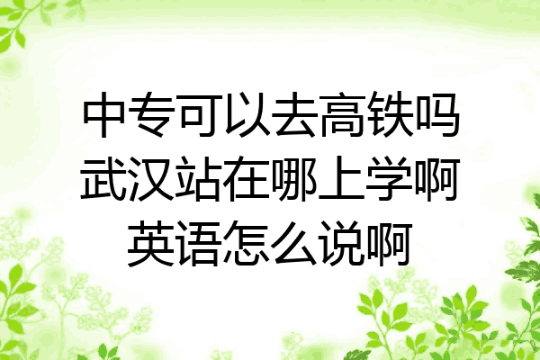 中专可以去高铁吗武汉站在哪上学啊英语怎么说啊