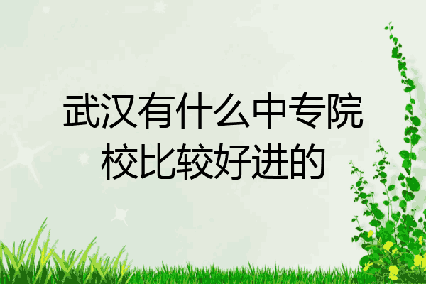 武汉有什么中专院校比较好进的
