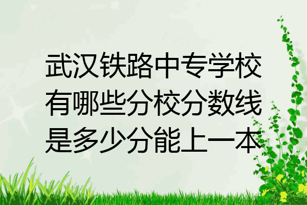 武汉铁路中专学校有哪些分校分数线是多少分能上一本