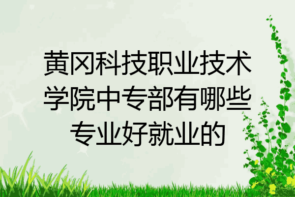 黄冈科技职业技术学院中专部有哪些专业好就业的