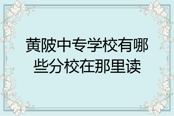 黄陂中专学校有哪些分校在那里读