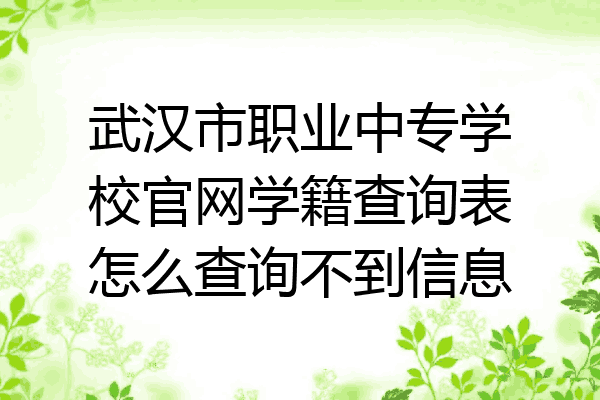 武汉市职业中专学校官网学籍查询表怎么查询不到信息