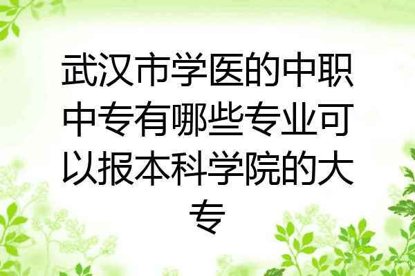 武汉市学医的中职中专有哪些专业可以报本科学院的大专