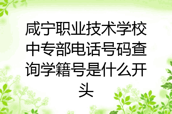 咸宁职业技术学校中专部电话号码查询学籍号是什么开头