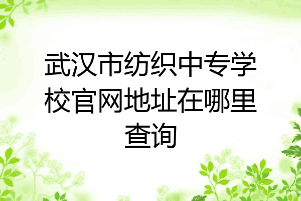武汉市纺织中专学校官网地址在哪里查询