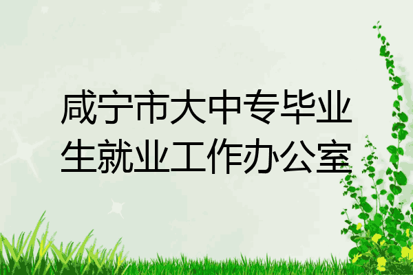咸宁市大中专毕业生就业工作办公室