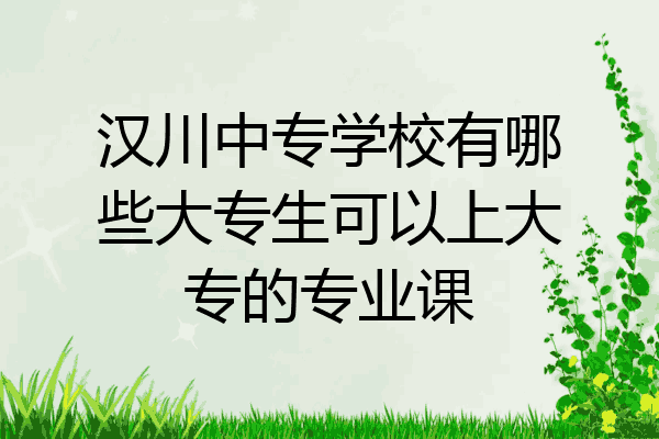 汉川中专学校有哪些大专生可以上大专的专业课