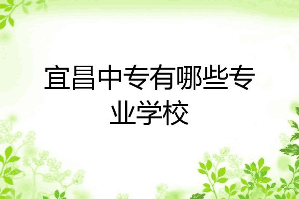 宜昌中专有哪些专业学校