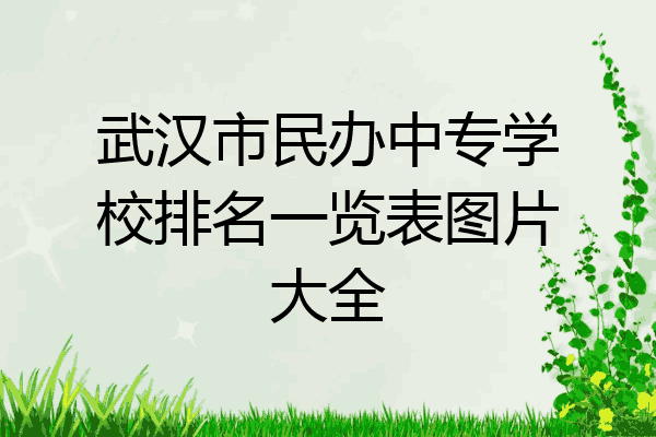武汉市民办中专学校排名一览表图片大全