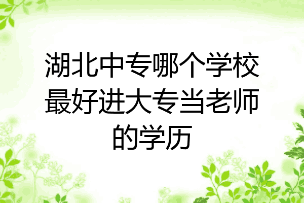 湖北中专哪个学校最好进大专当老师的学历