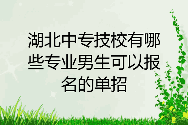 湖北中专技校有哪些专业男生可以报名的单招