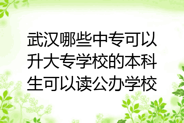 武汉哪些中专可以升大专学校的本科生可以读公办学校