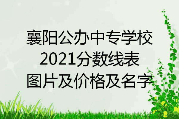 襄阳公办中专学校2021分数线表图片及价格及名字