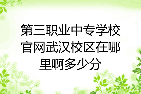 第三职业中专学校官网武汉校区在哪里啊多少分