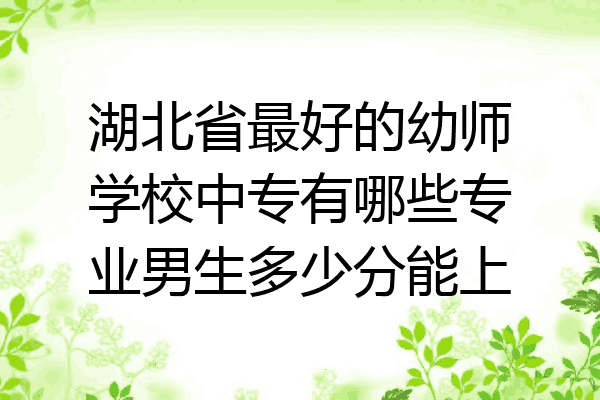 湖北省最好的幼师学校中专有哪些专业男生多少分能上