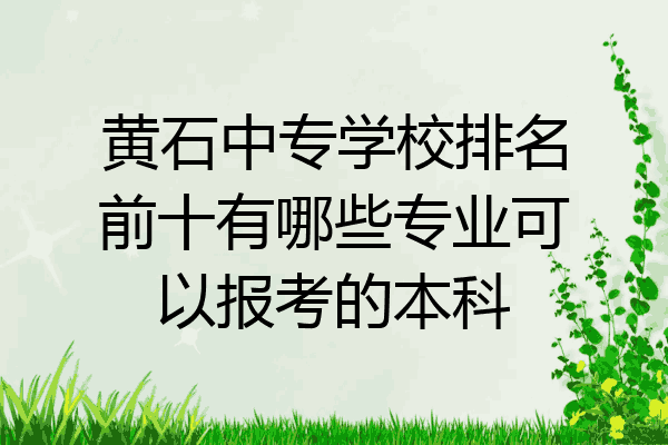 黄石中专学校排名前十有哪些专业可以报考的本科