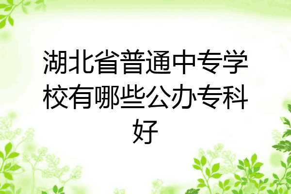 湖北省普通中专学校有哪些公办专科好