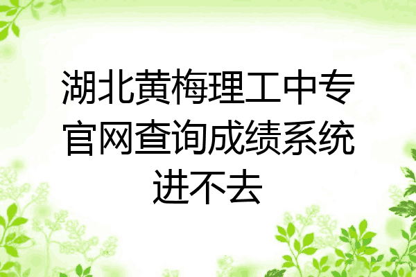湖北黄梅理工中专官网查询成绩系统进不去