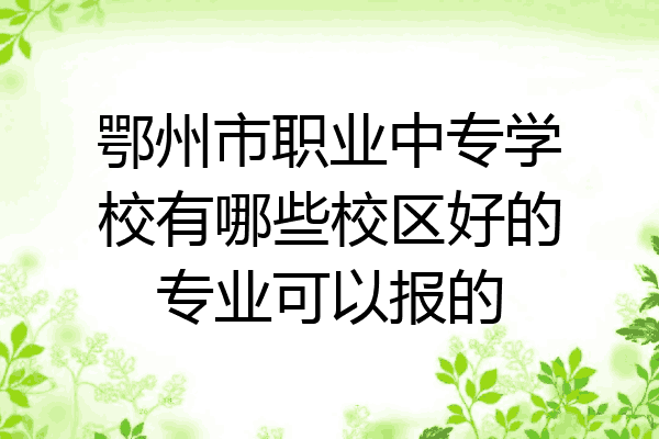 鄂州市职业中专学校有哪些校区好的专业可以报的