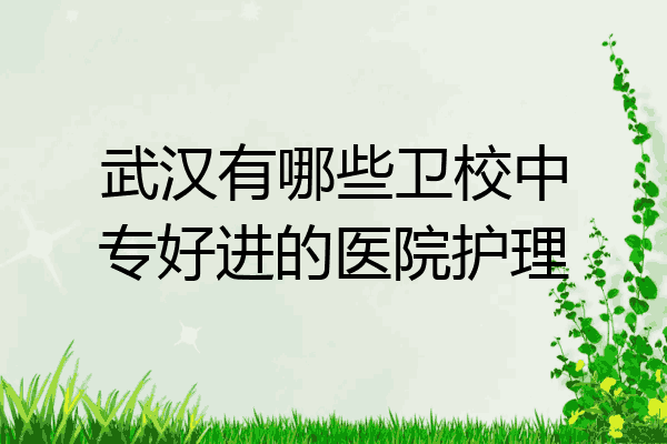 武汉有哪些卫校中专好进的医院护理