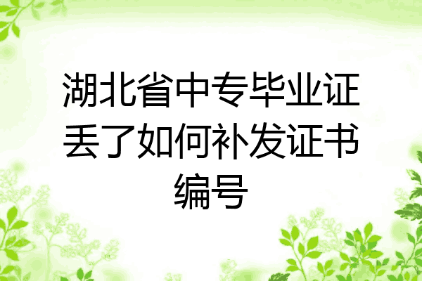 湖北省中专毕业证丢了如何补发证书编号