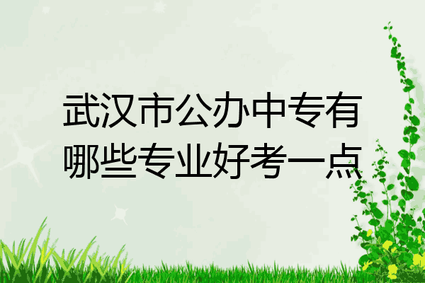 武汉市公办中专有哪些专业好考一点