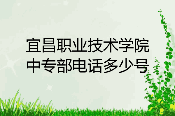 宜昌职业技术学院中专部电话多少号